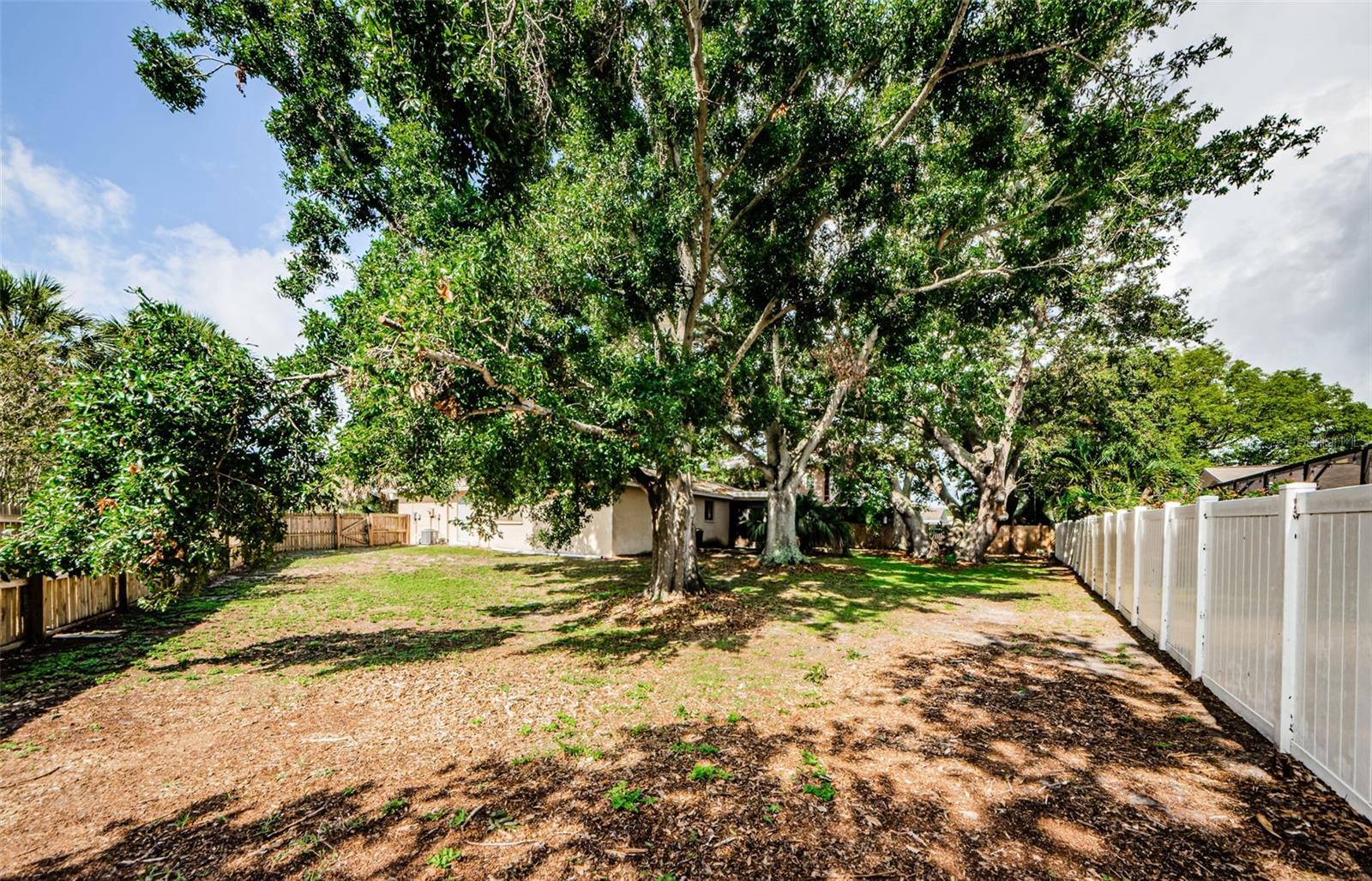 Image 2 of 33 For 11783 102nd Avenue