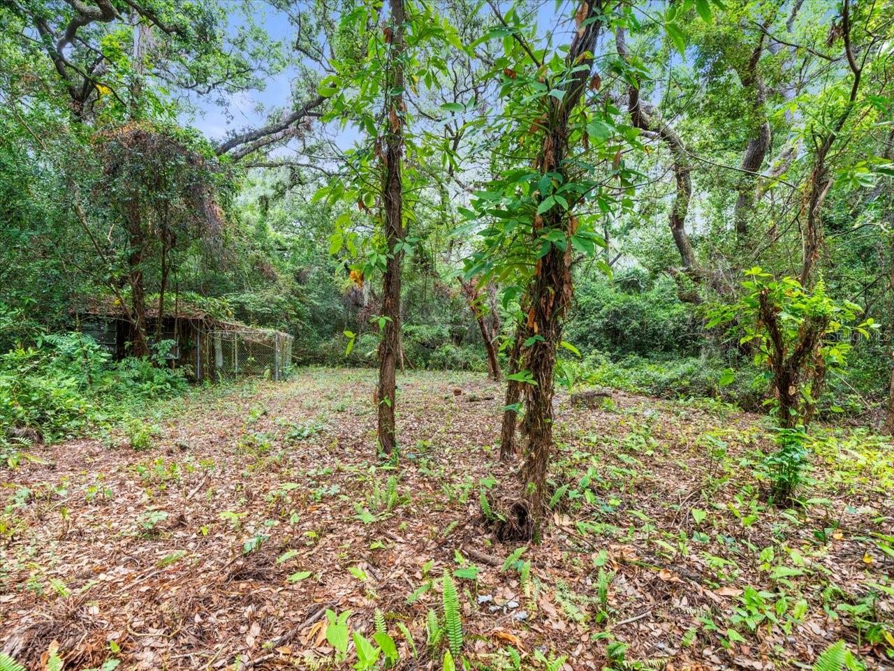 Listing photo id 11 for 16035 Chastain Road
