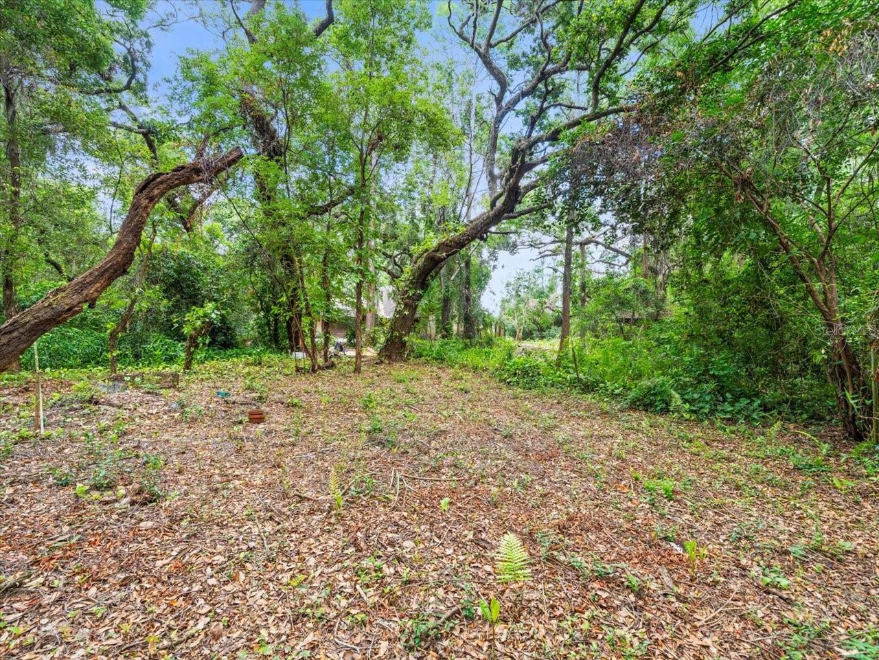 Listing photo id 12 for 16035 Chastain Road
