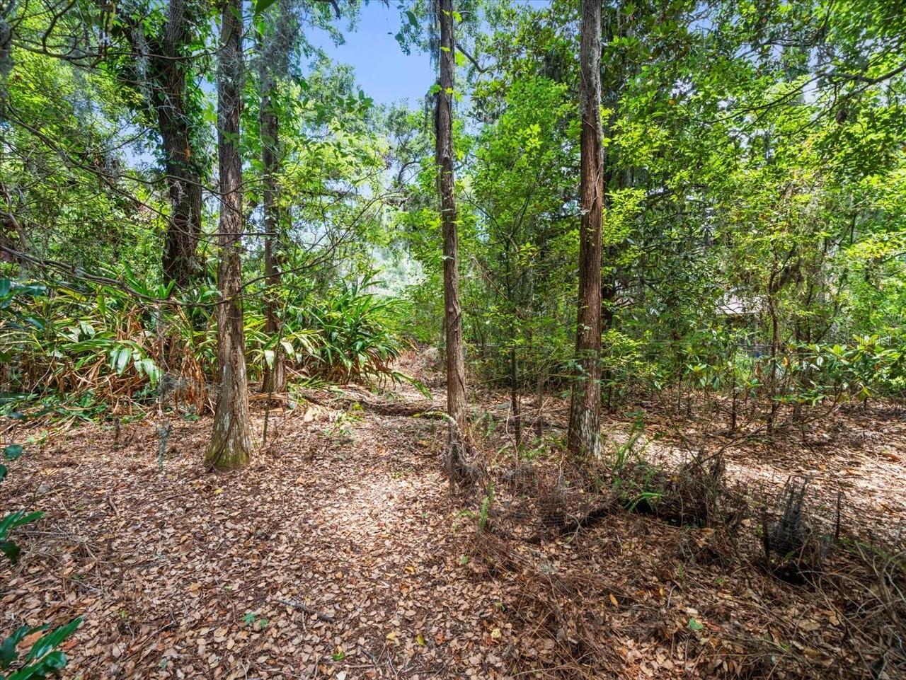 Listing photo id 13 for 16035 Chastain Road