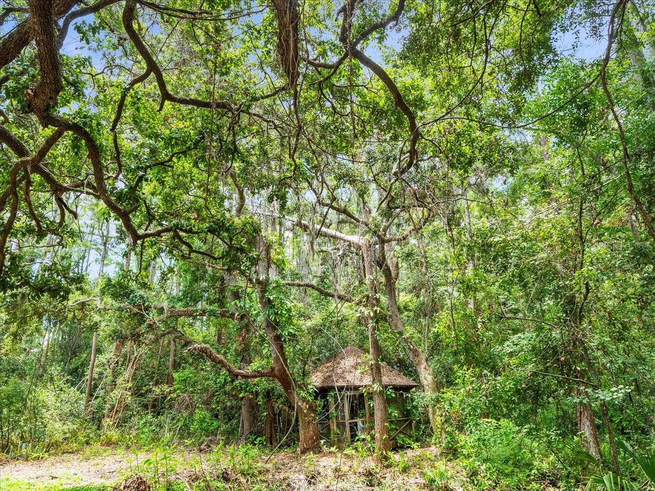 Listing photo id 15 for 16035 Chastain Road