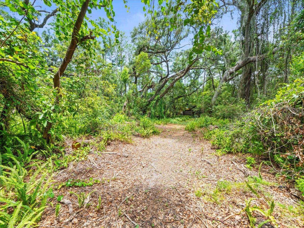 Listing photo id 16 for 16035 Chastain Road