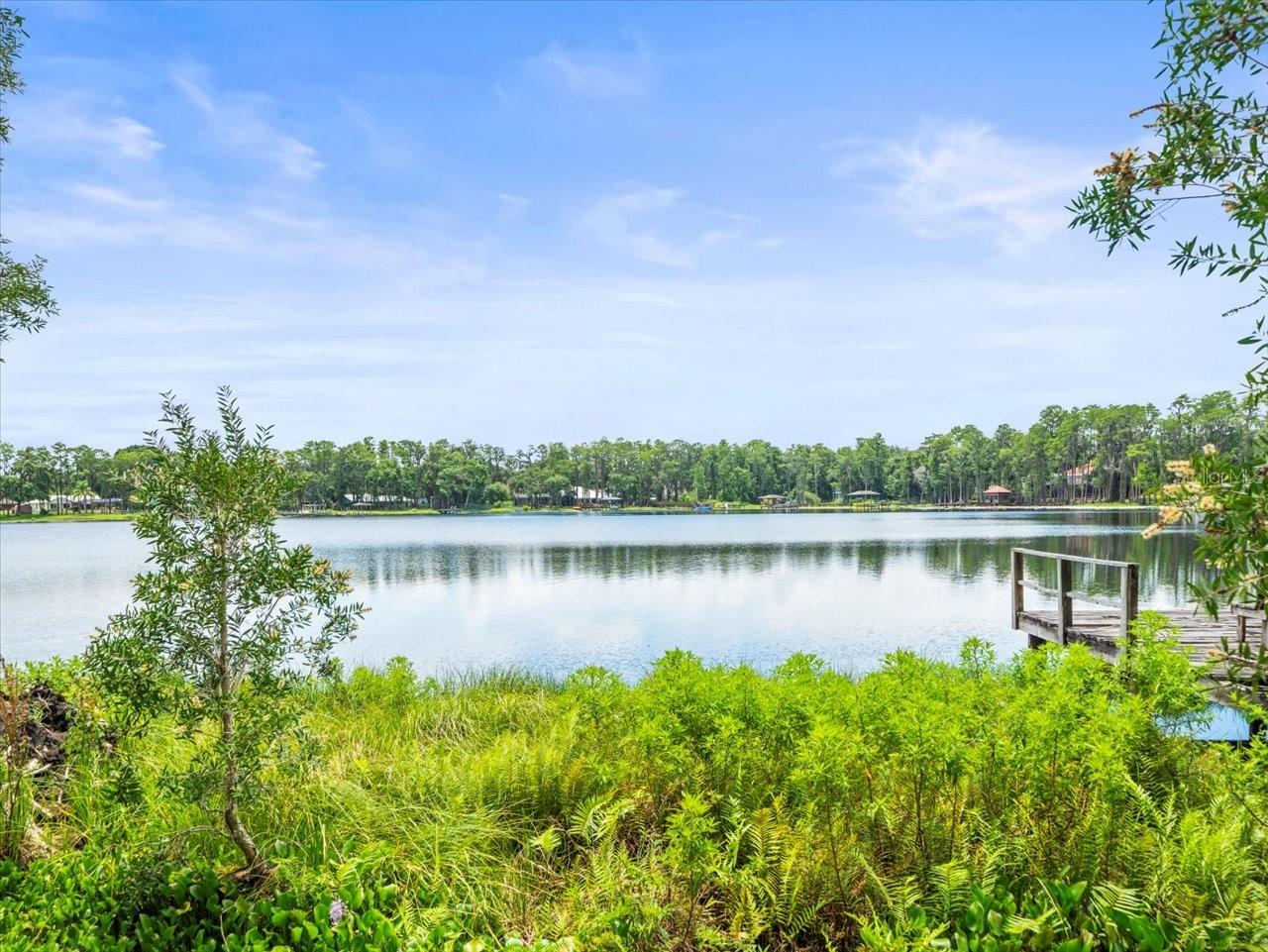 Listing photo id 1 for 16035 Chastain Road