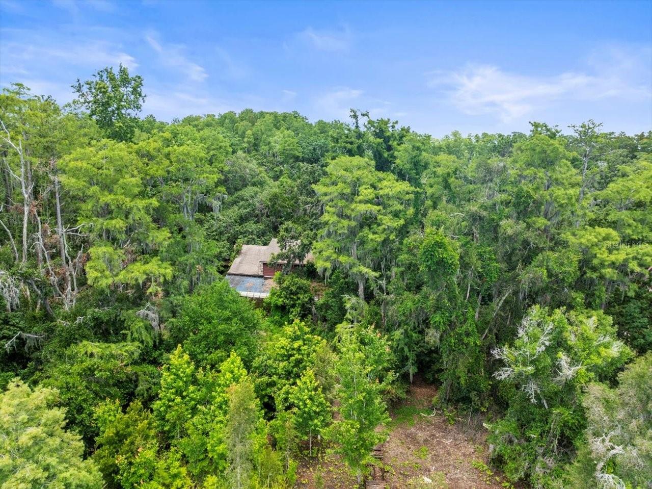 Listing photo id 4 for 16035 Chastain Road