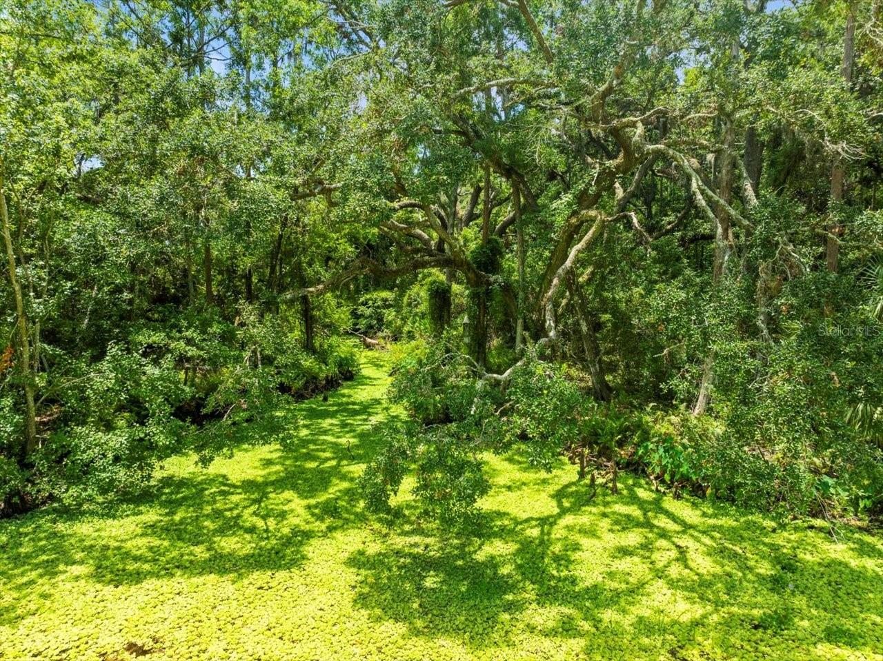 Listing photo id 5 for 16035 Chastain Road