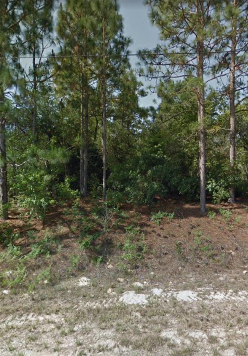 Image 3 of 3 For 3238 W Camilo Dr