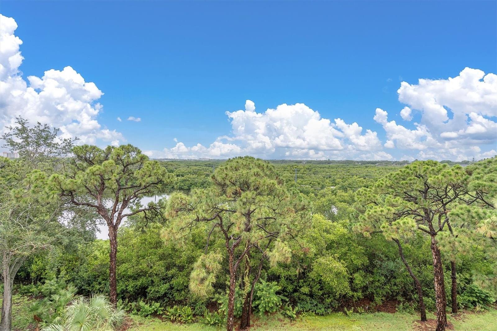 Image 37 of 48 For 8198 Terrace Garden Drive 511