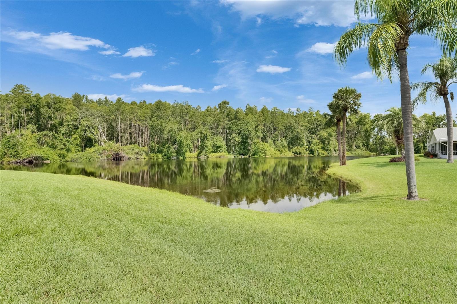 Image 35 of 41 For 123 Glendower Circle 123