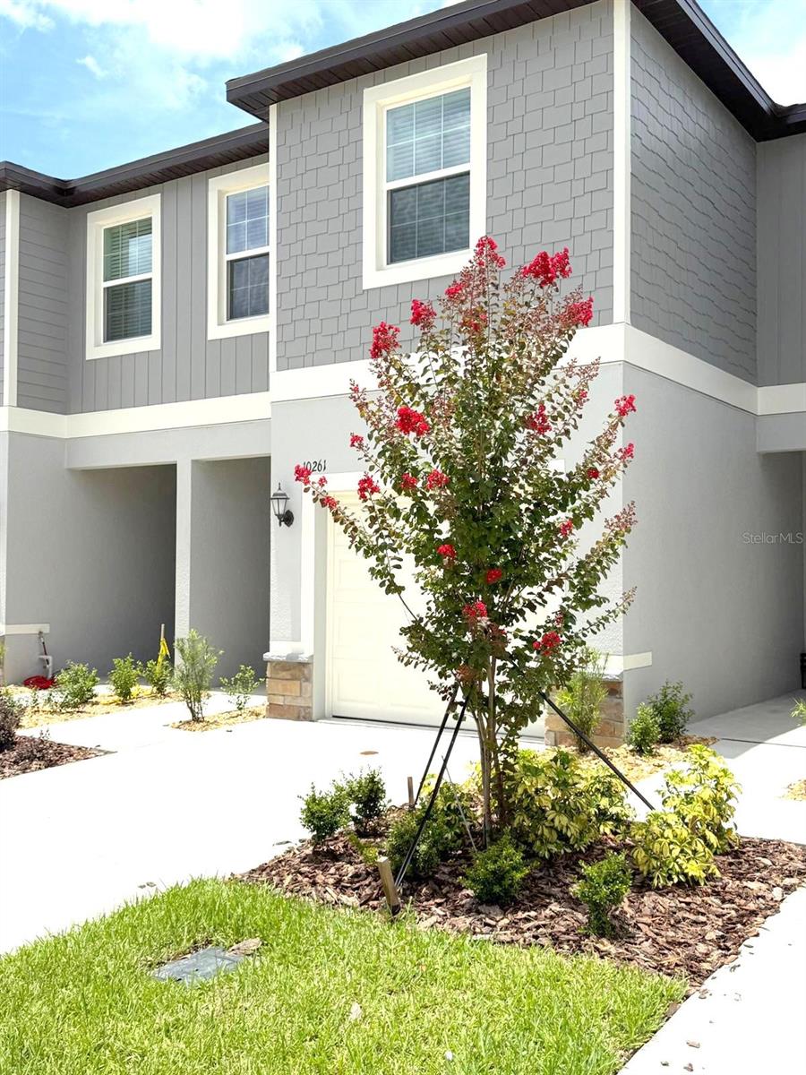 Details for 10261 Trumpet Honeysuckle Way, SAN ANTONIO, FL 33576
