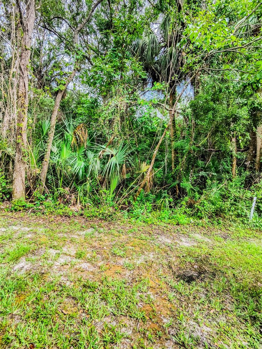 Image 73 of 80 For 6265 Ashbury Palms Drive