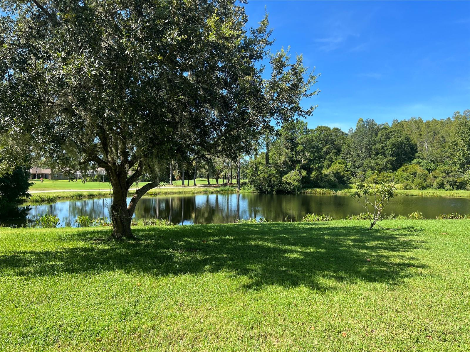 Image 15 of 15 For 10782 Plantation Bay Drive