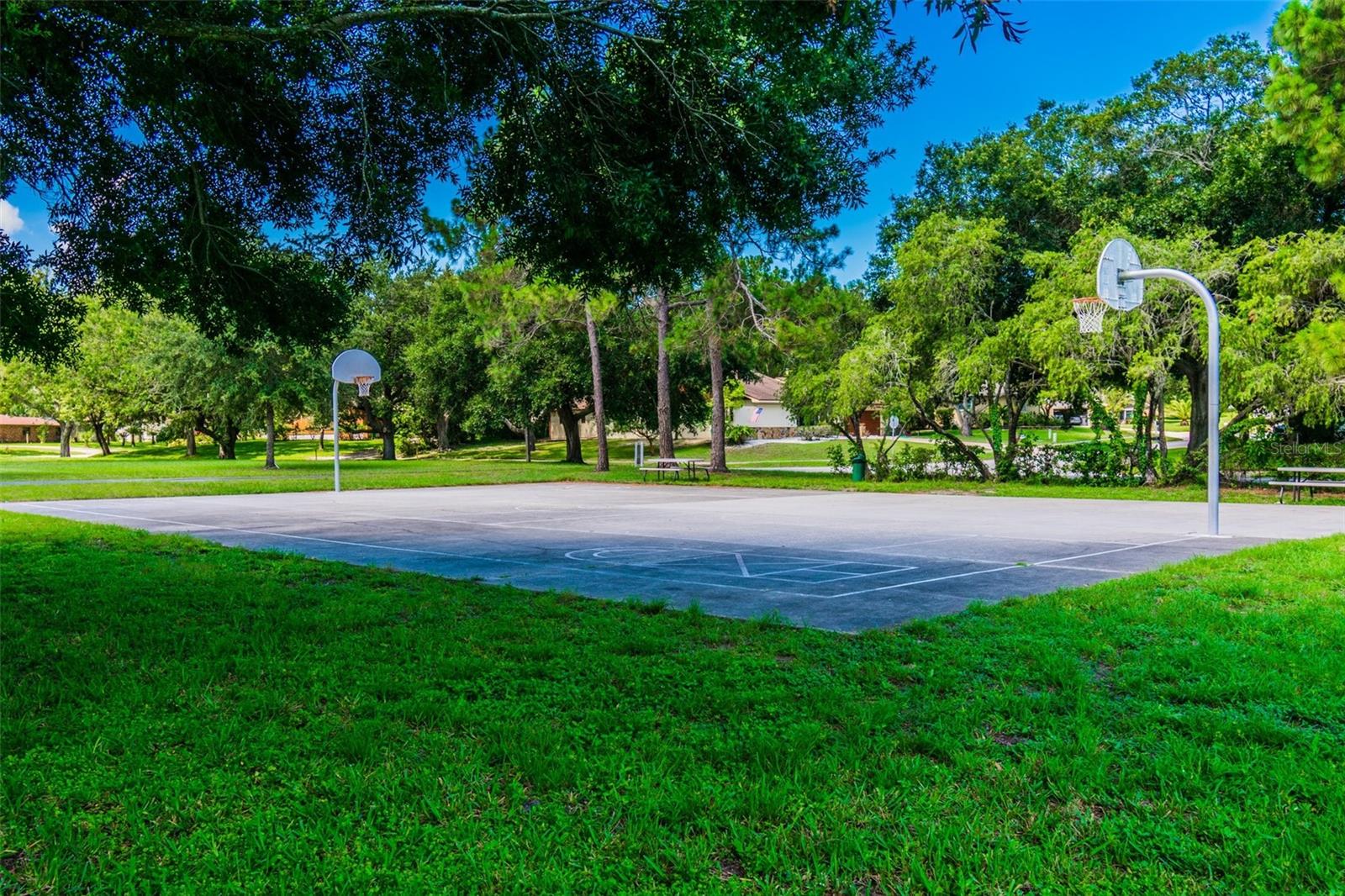Image 87 of 91 For 855 Pinewood Terrace W