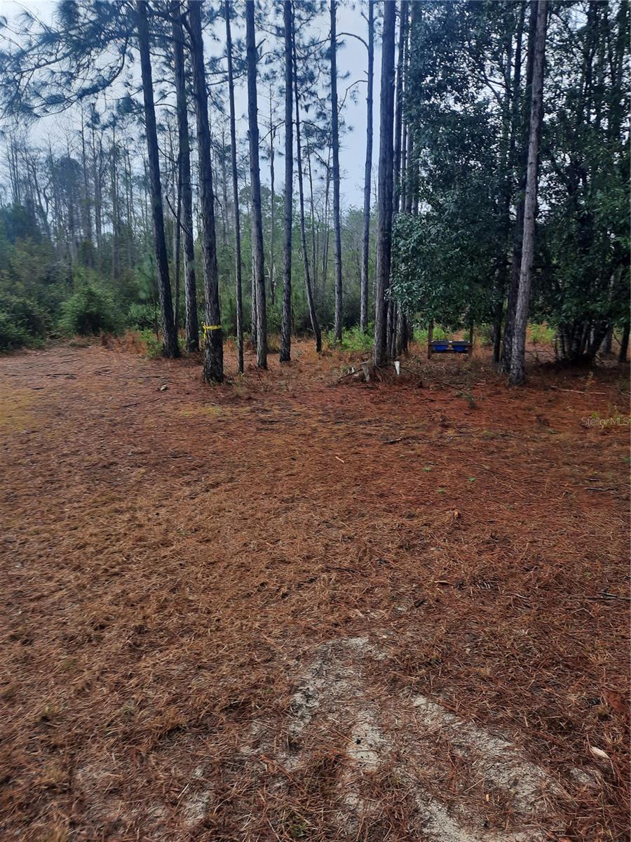 Image 2 of 11 For 540 326th Avenue