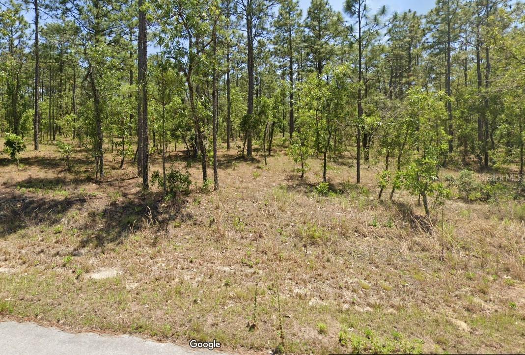 Details for 454605 Geranium Avenue, DUNNELLON, FL 34431