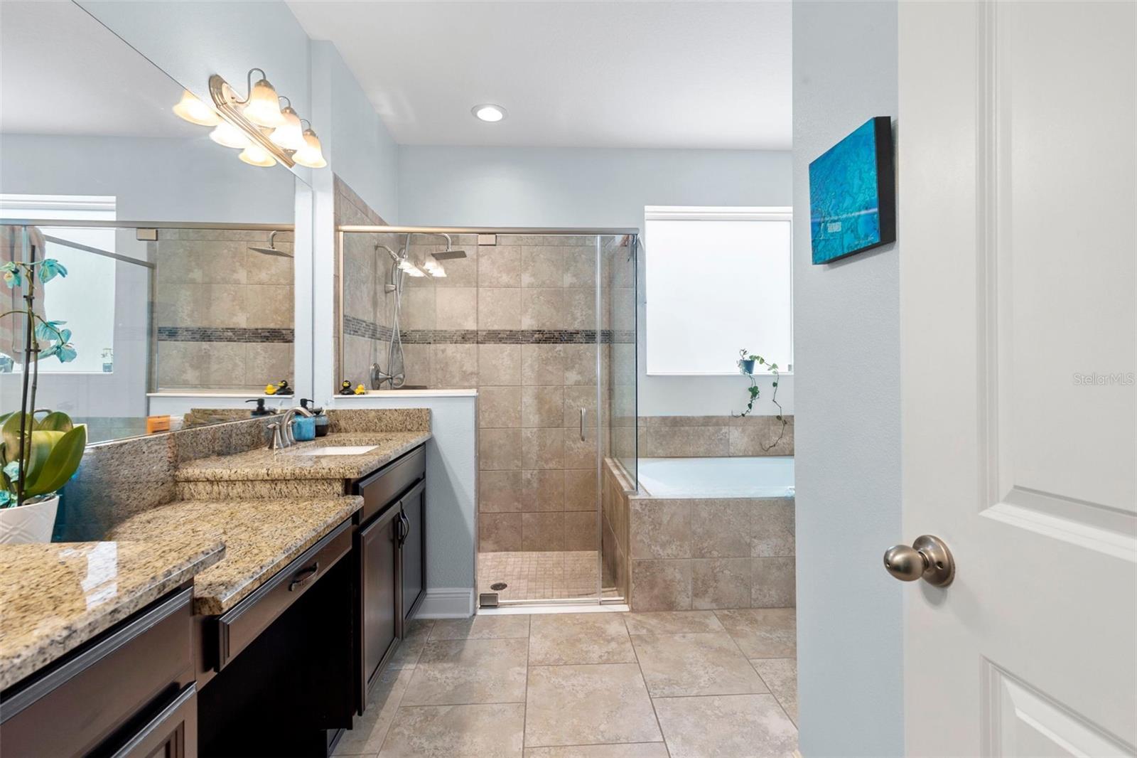 Listing photo id 22 for 13352 Palmera Vista Drive