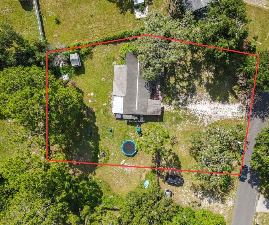 Image 4 of 12 For 34781 Gardenia Way