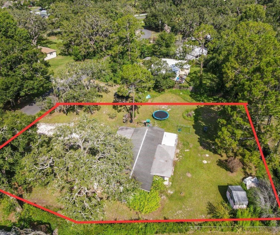 Image 6 of 12 For 34781 Gardenia Way