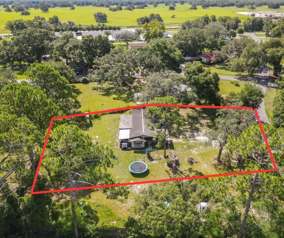 Image 7 of 12 For 34781 Gardenia Way