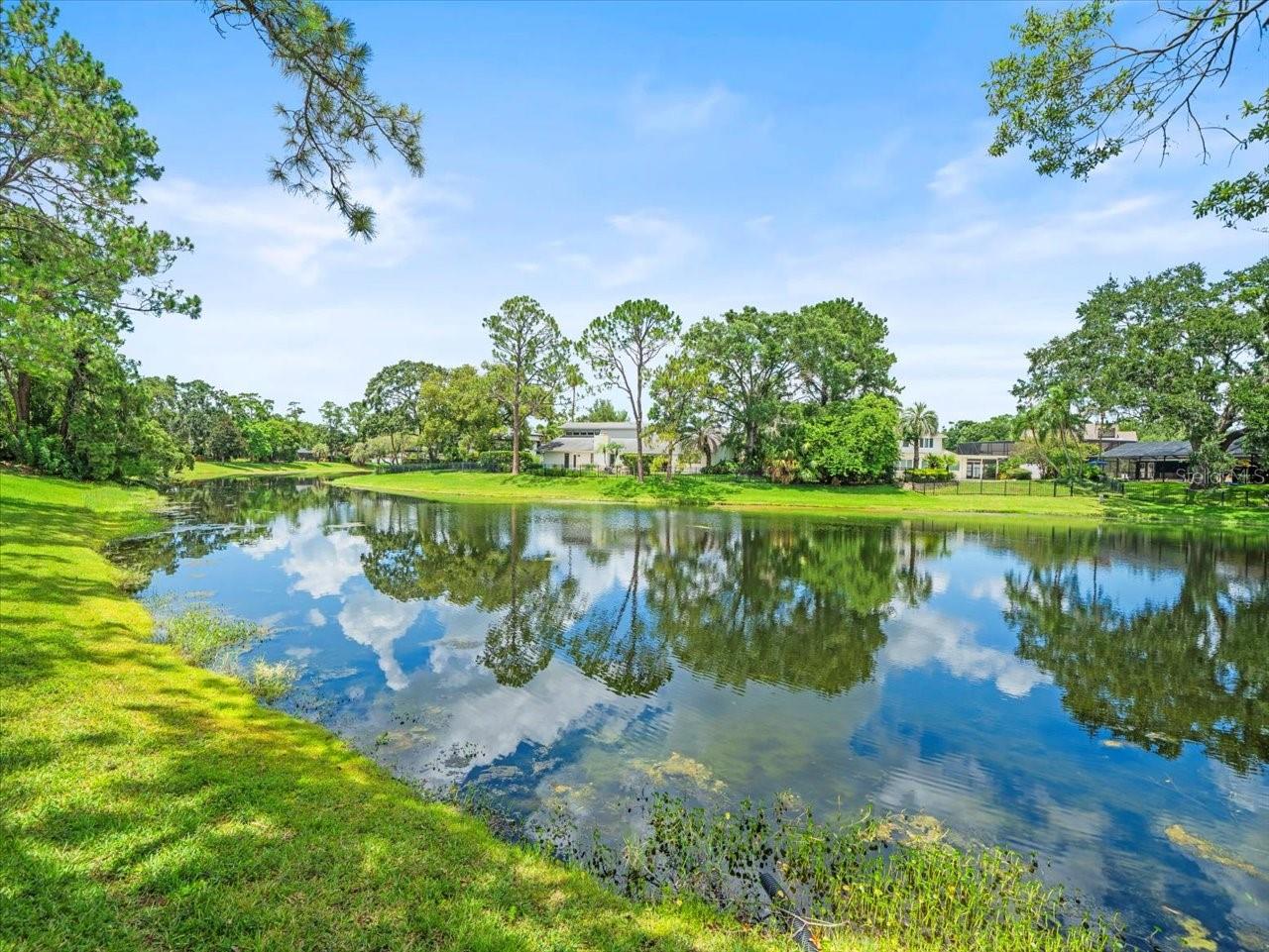 Image 33 of 39 For 4118 Carrollwood Village Drive
