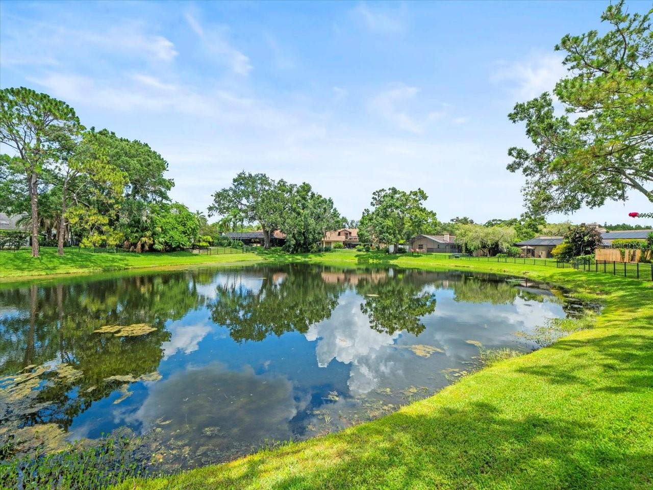 Image 34 of 39 For 4118 Carrollwood Village Drive