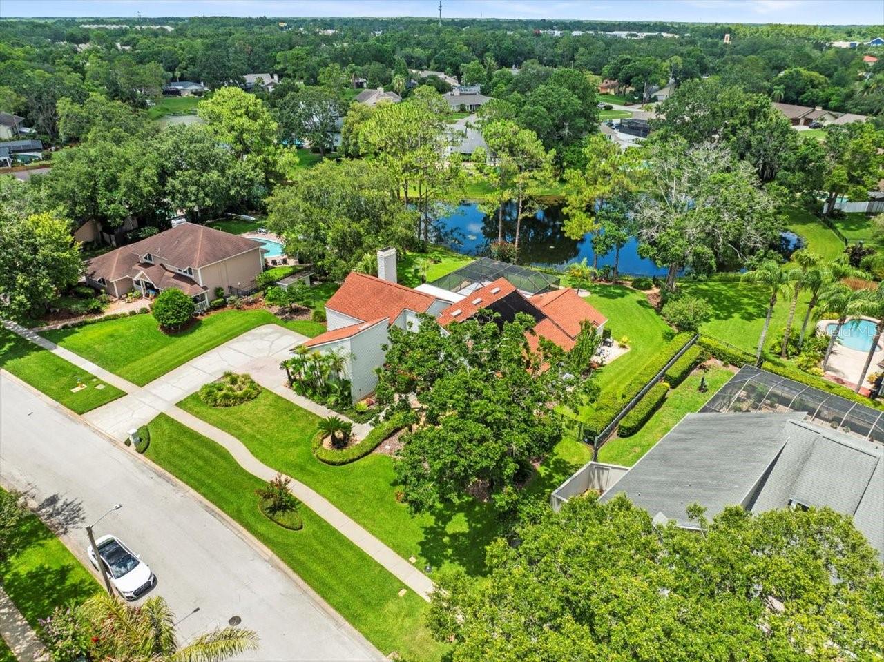 Image 38 of 39 For 4118 Carrollwood Village Drive
