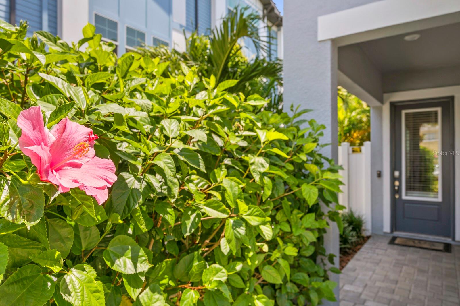 Listing photo id 4 for 408 Matanzas Avenue 1