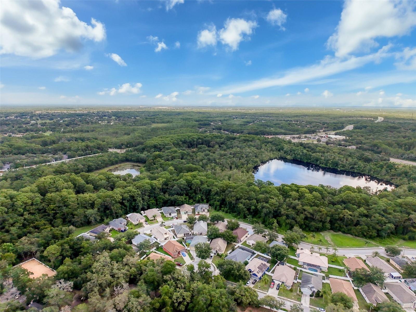 Image 91 of 92 For 12200 Hunters Lake Drive