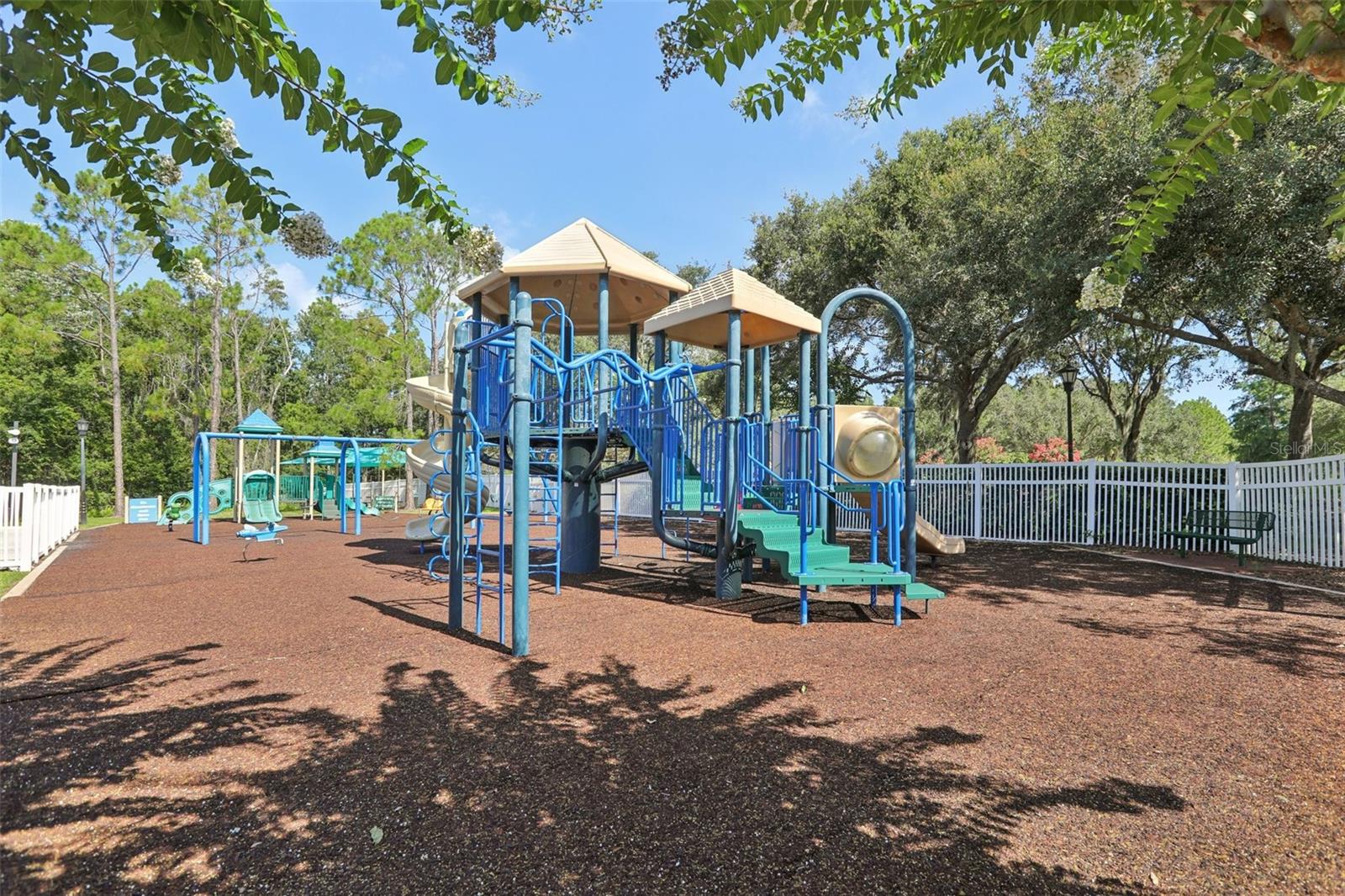 Image 46 of 48 For 25950 Risen Star Drive