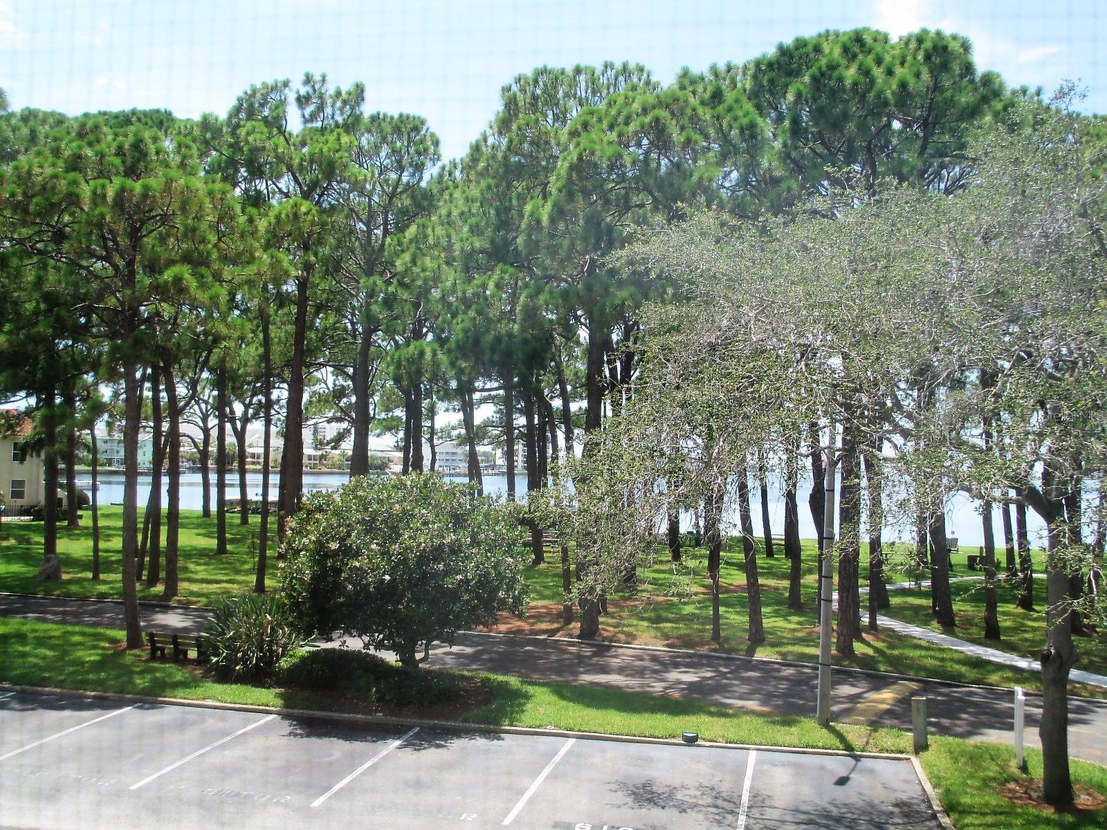 Image 13 of 31 For 2700 Bayshore Boulevard 6210