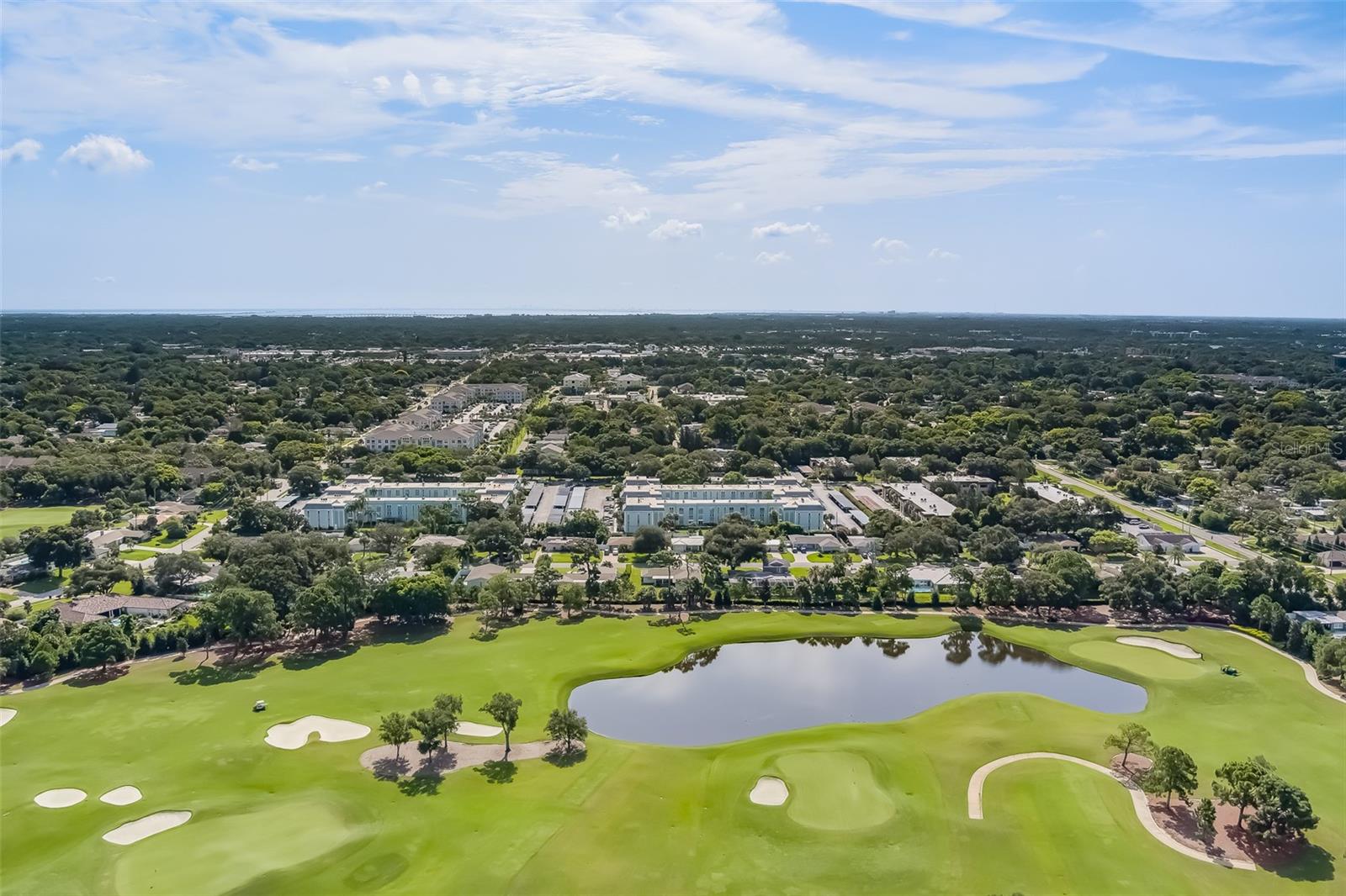 Image 27 of 62 For 1706 Belleair Forest Drive 252