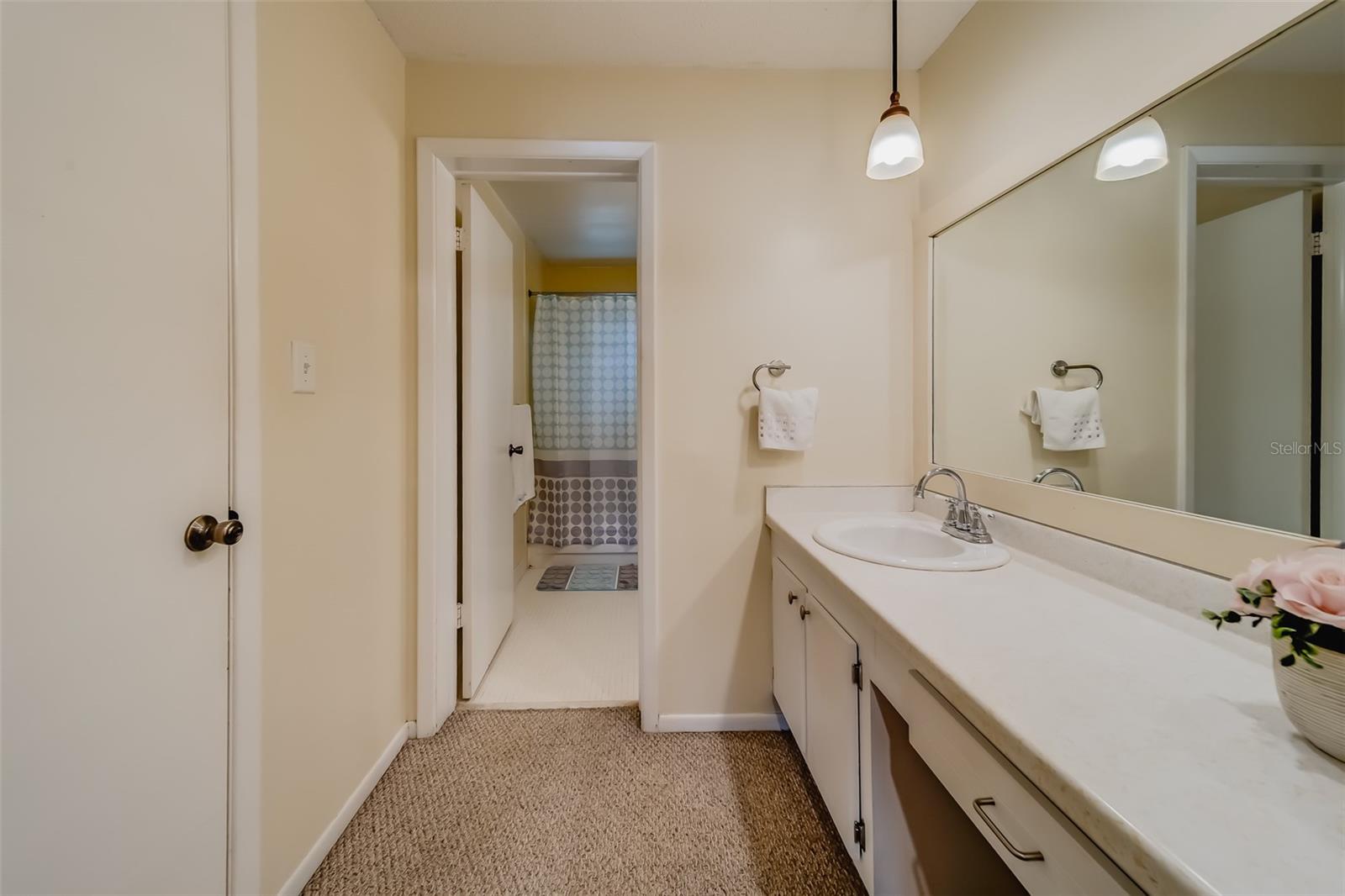 Image 48 of 62 For 1706 Belleair Forest Drive 252