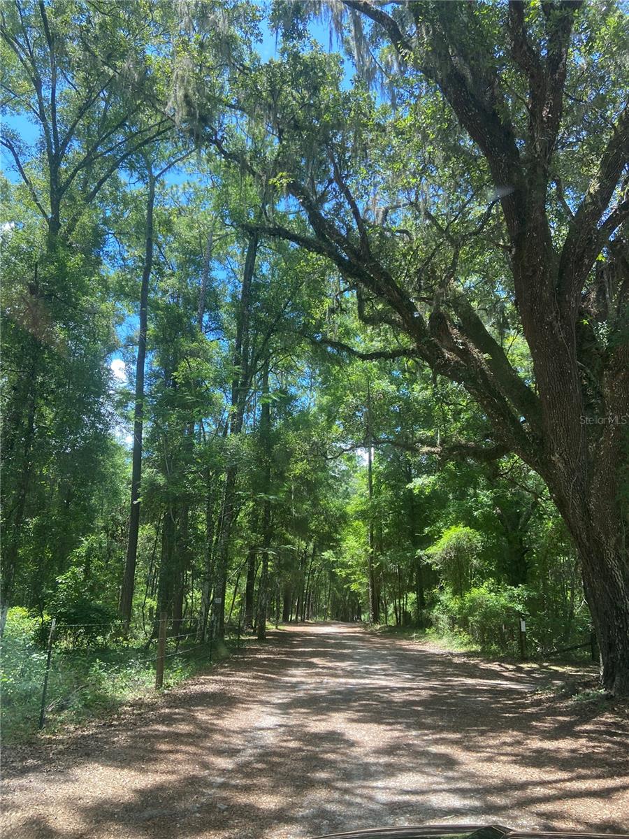 Details for 166th Avenue, WILLISTON, FL 32696