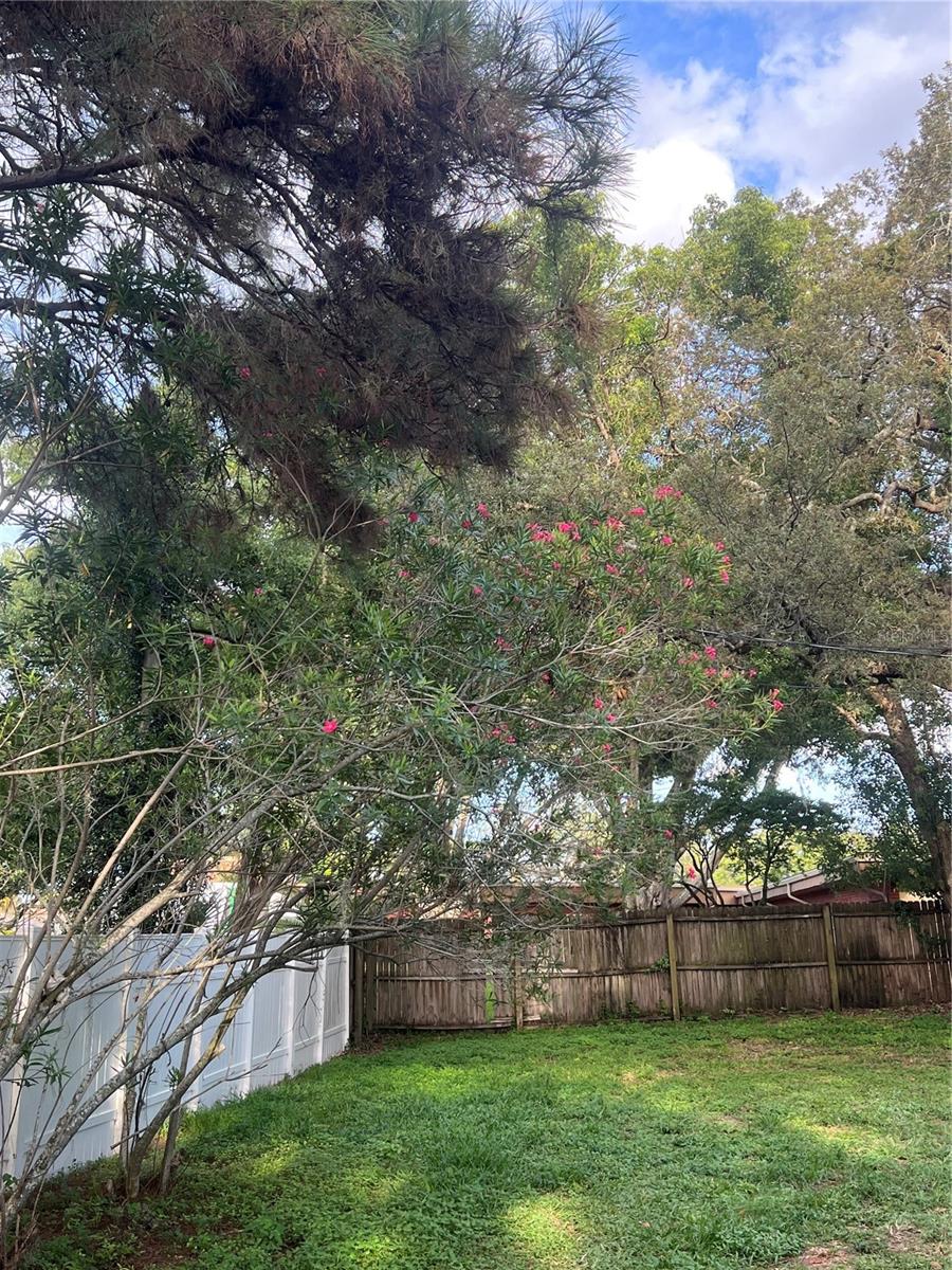 Listing photo id 12 for 6606 Corbin Lane