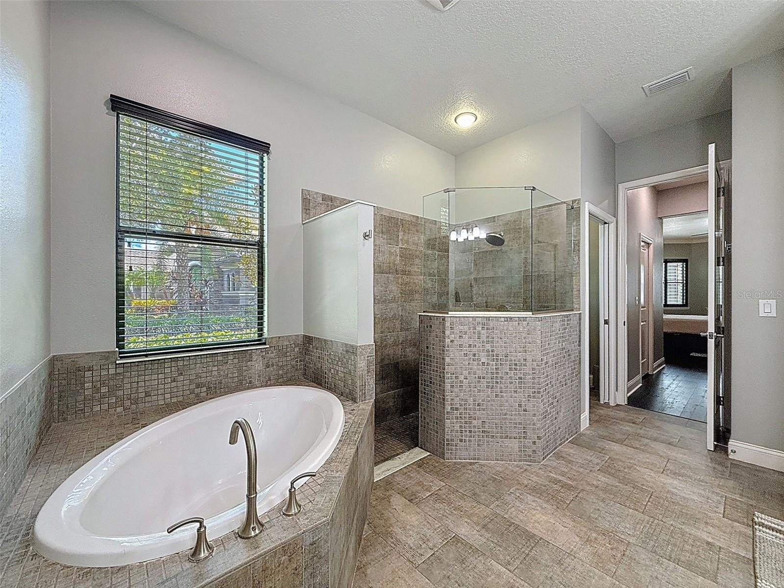 Image 29 of 80 For 9808 Milano Drive