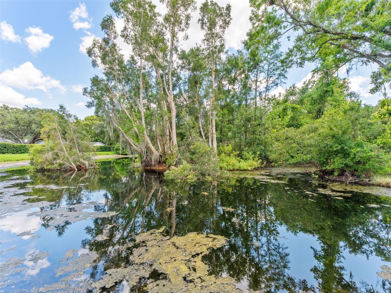 Image 62 of 74 For 13710 Westshire Drive