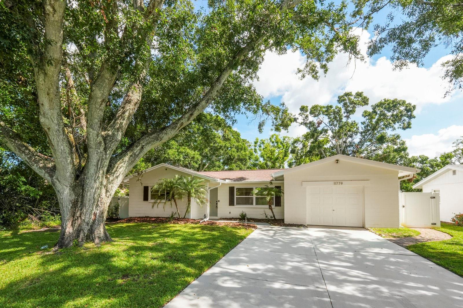 Image 9 of 34 For 11779 82nd Terrace