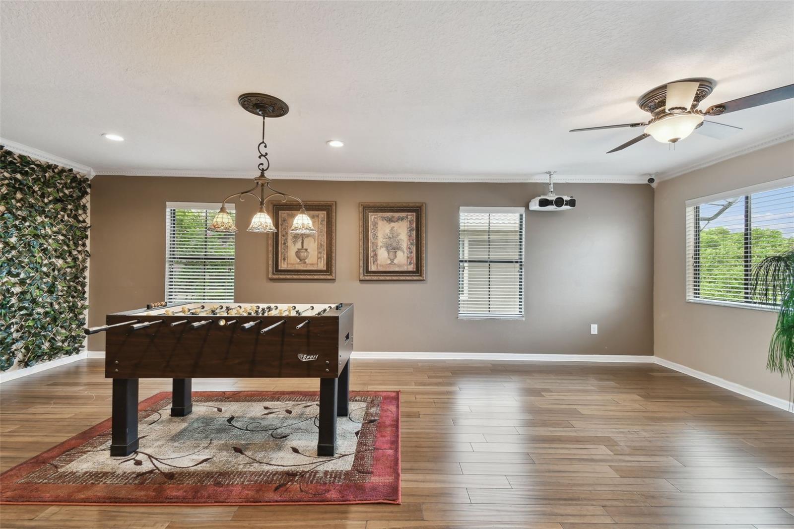 Listing photo id 40 for 7929 Tasso Court