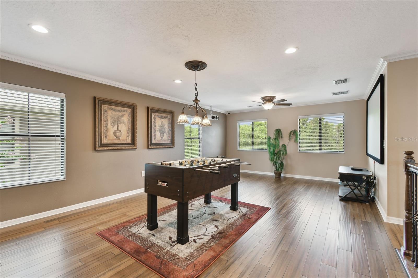 Listing photo id 41 for 7929 Tasso Court
