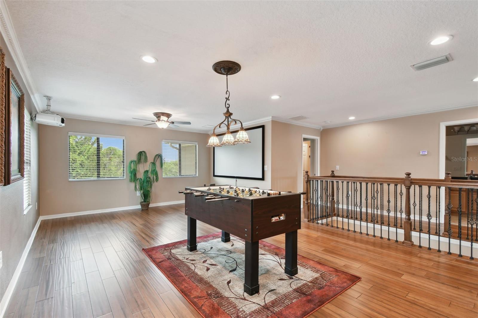 Listing photo id 42 for 7929 Tasso Court