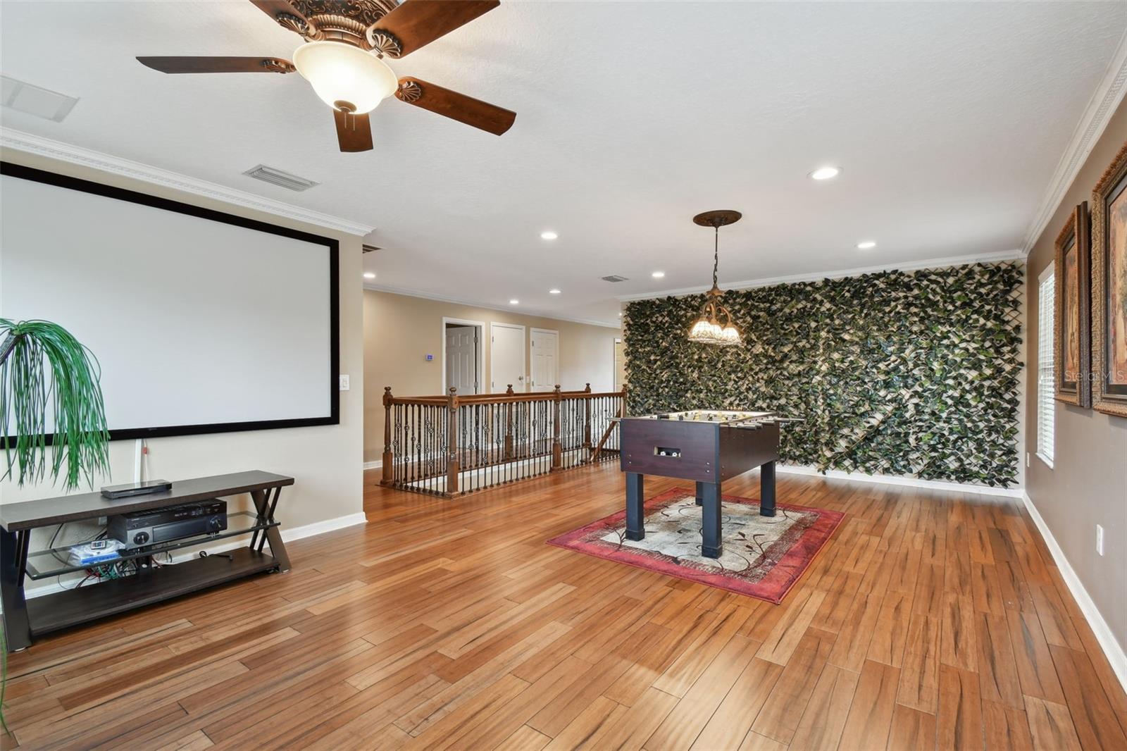 Listing photo id 43 for 7929 Tasso Court