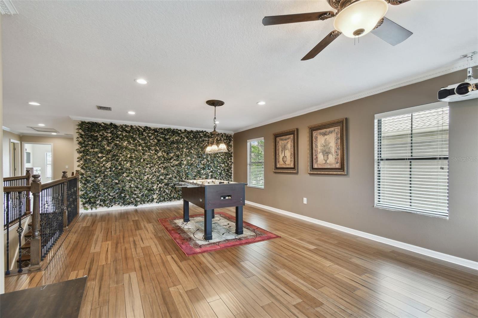 Listing photo id 44 for 7929 Tasso Court