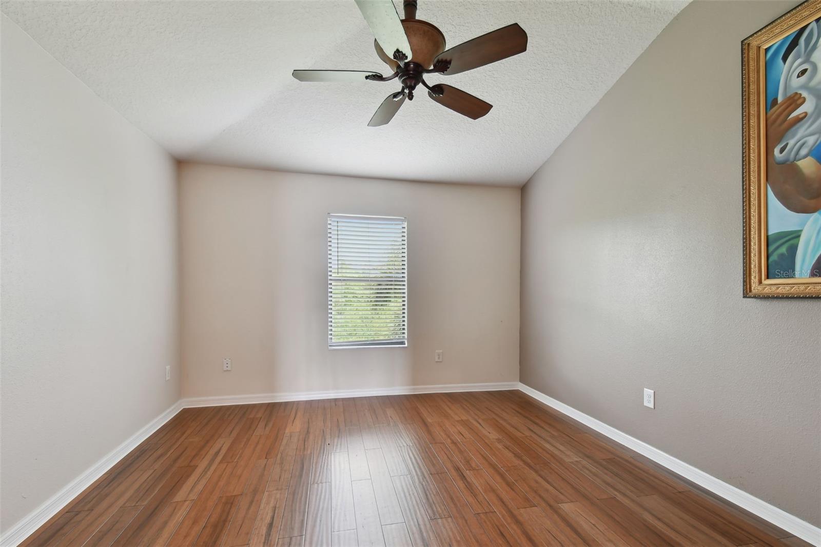 Listing photo id 46 for 7929 Tasso Court