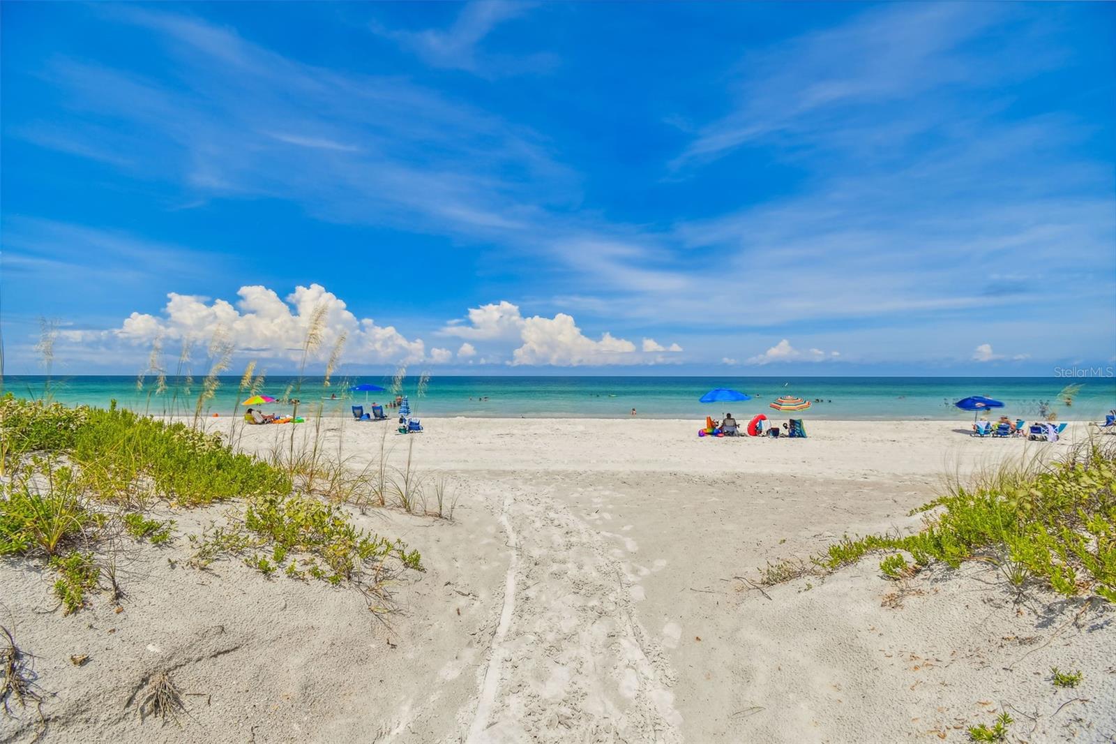 Listing photo id 82 for 7929 Tasso Court