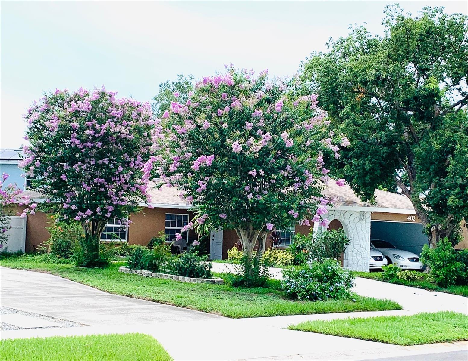 Details for 402 Evergreen Drive, OLDSMAR, FL 34677