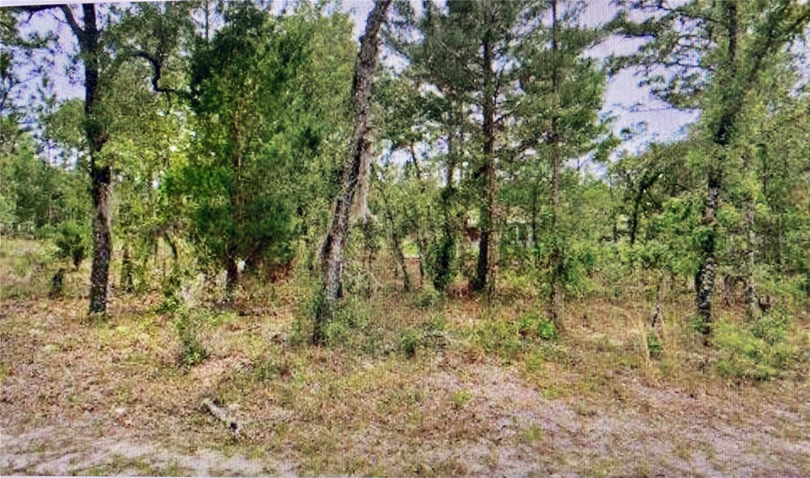 Details for 2842 Leeward Place, CITRUS SPRINGS, FL 34433