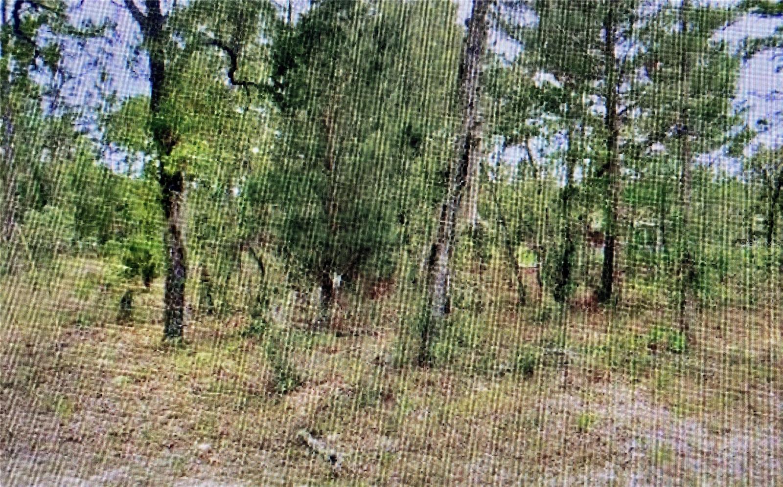 Image 2 of 3 For 2842 Leeward Place