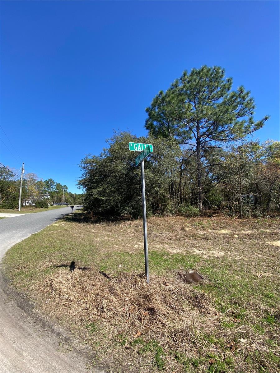 Listing photo id 1 for 7209 Galt Point