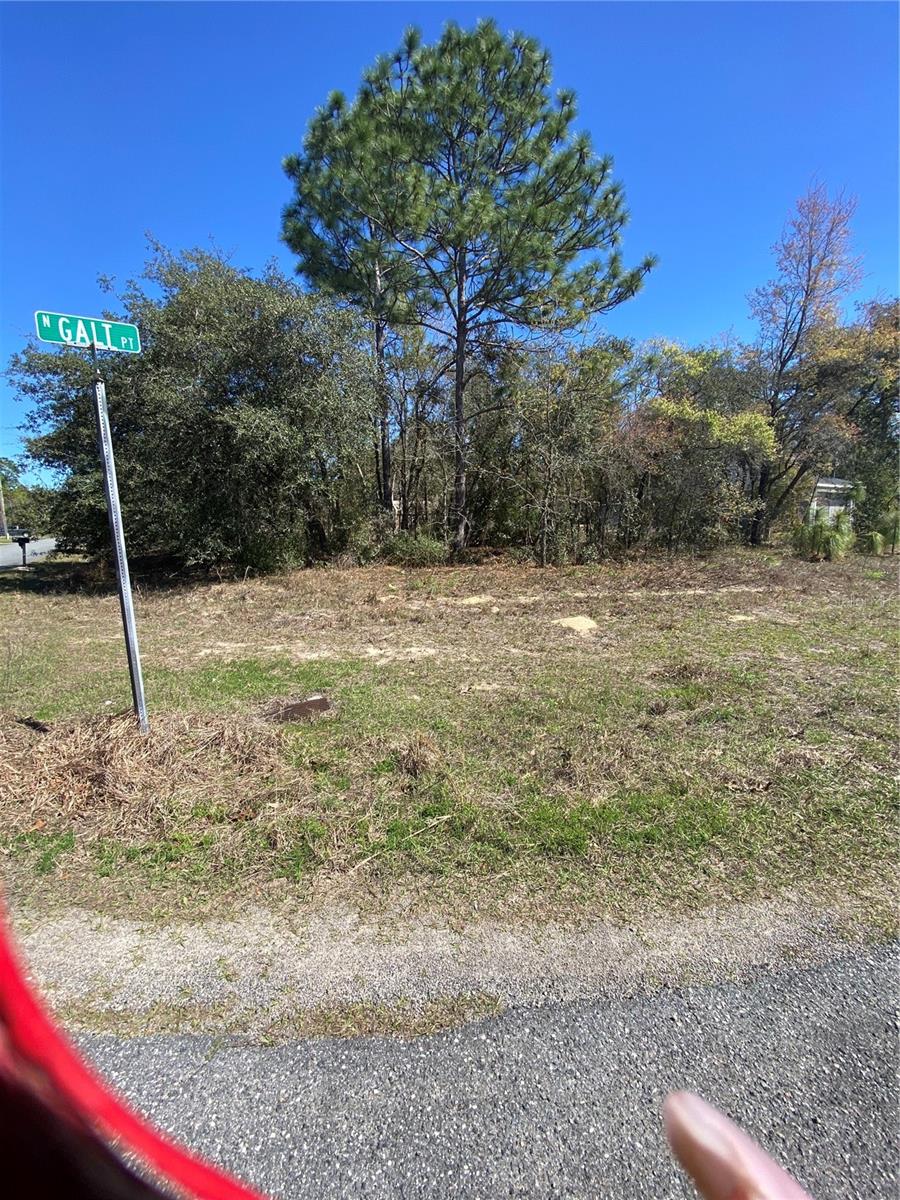Listing photo id 2 for 7209 Galt Point
