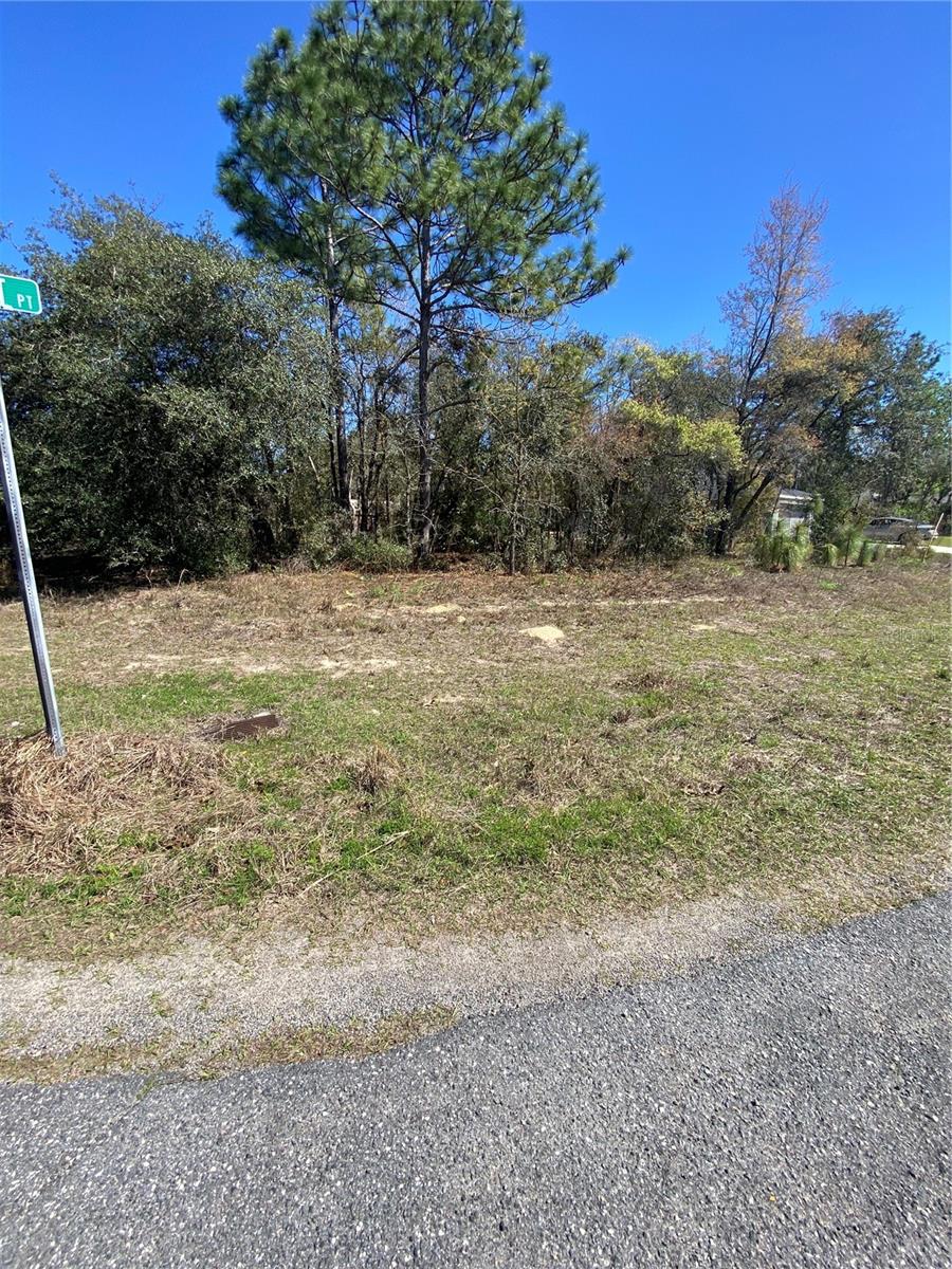 Listing photo id 3 for 7209 Galt Point