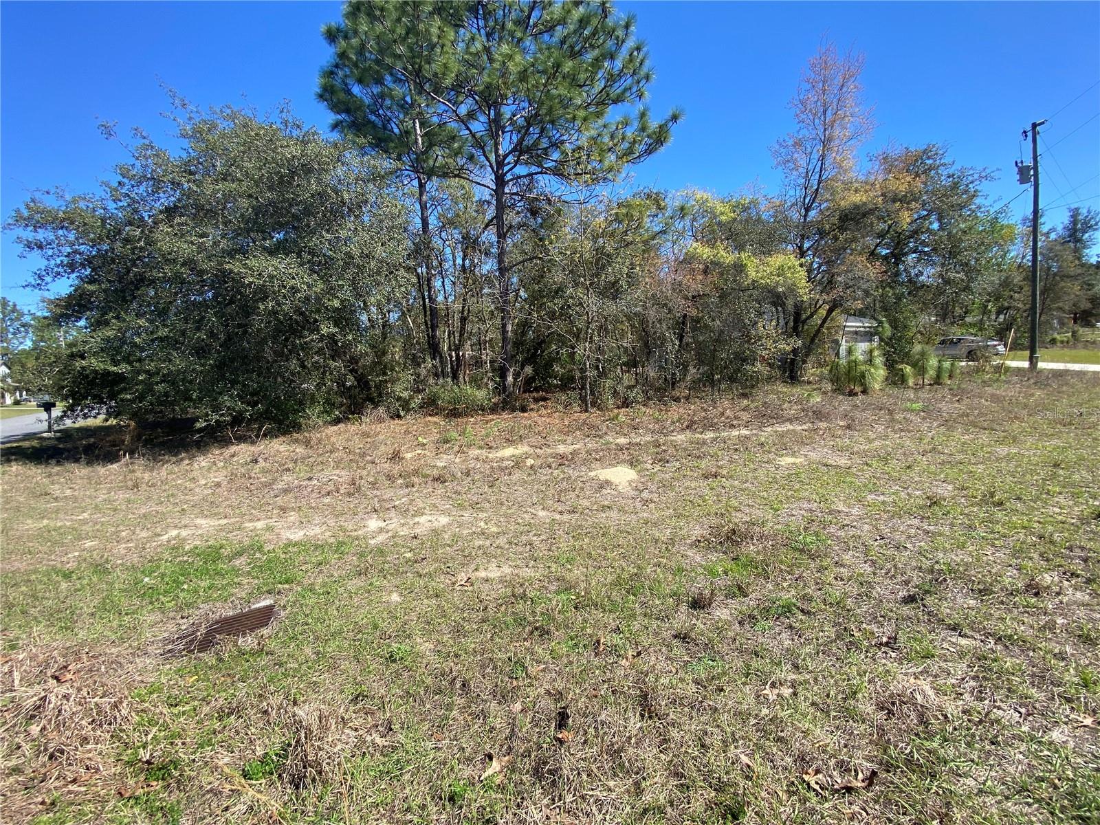 Listing photo id 4 for 7209 Galt Point